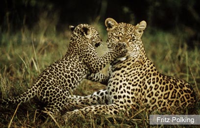 צילום: WWF