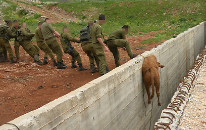 צילום: באדיבות דובר צה"ל